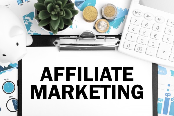 Simplify Your Affiliate Marketing Journey with HostingInIndia